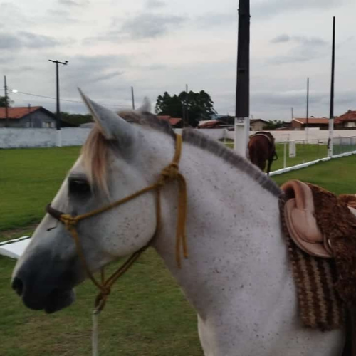 logotipo minimalista iniciais preto